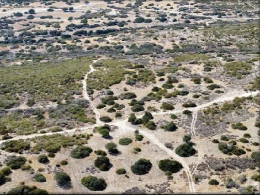 Field-Avdimou-PR42294