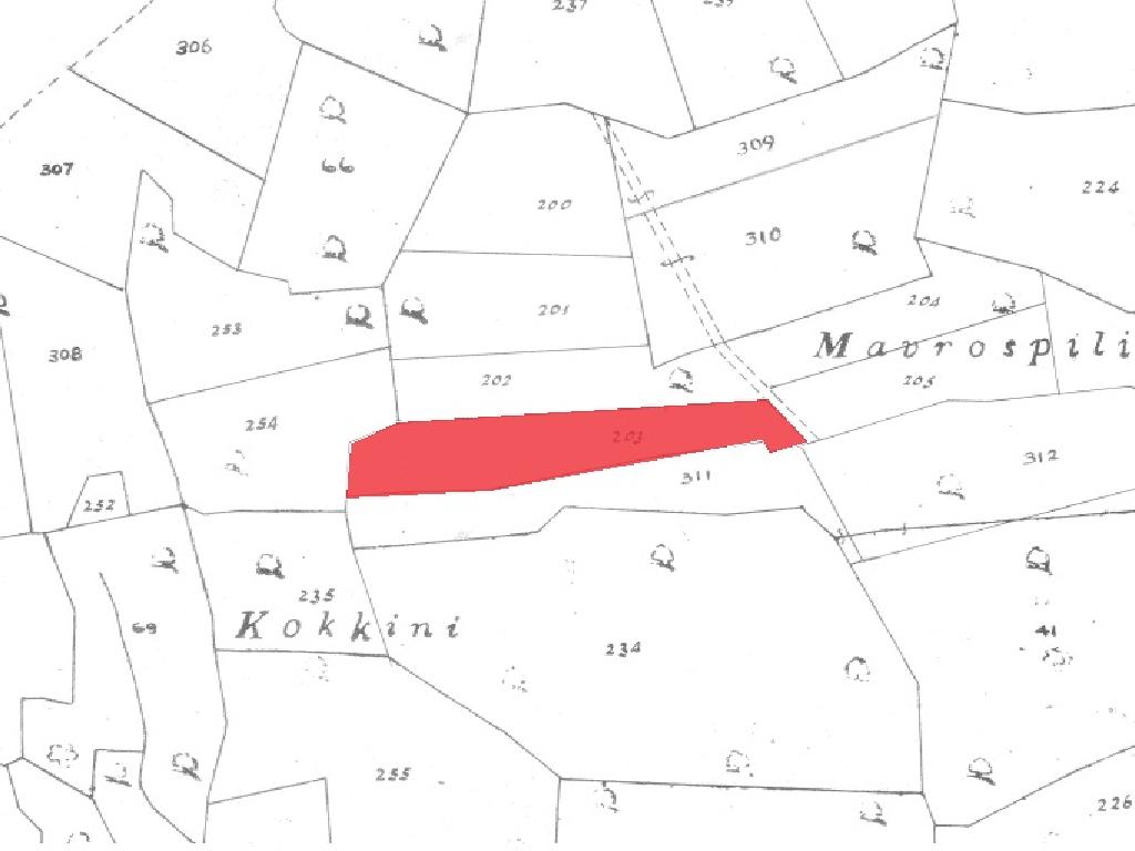 Field-Avdimou-PR42294
