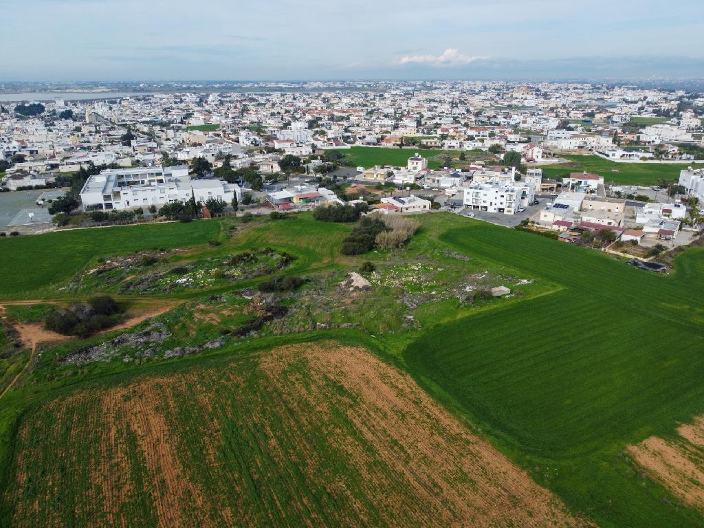 Field - Paralimni, Famagusta