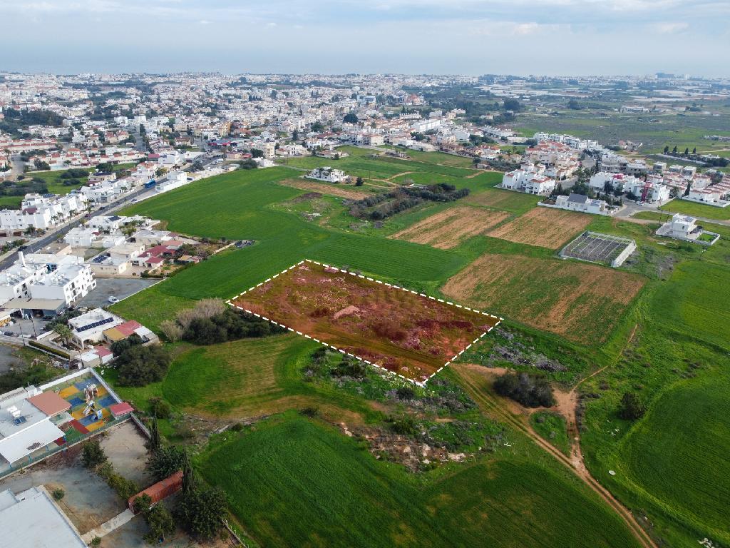 Field - Paralimni, Famagusta
