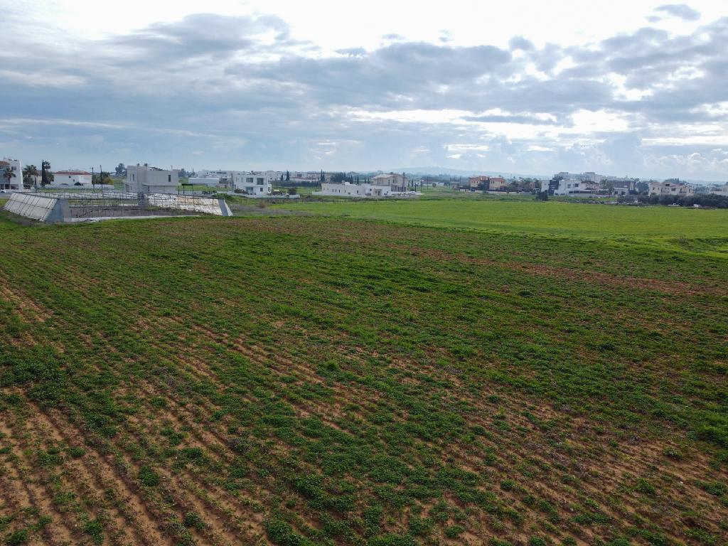 Field - Paralimni, Famagusta