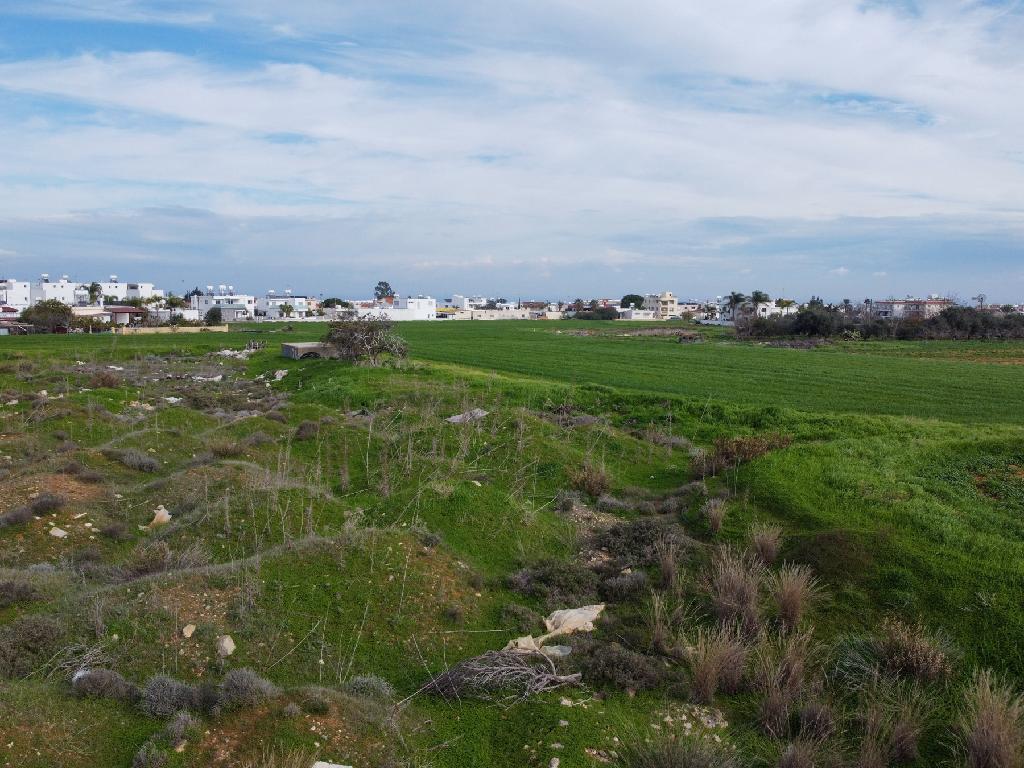 Field-Paralimni-PR44486