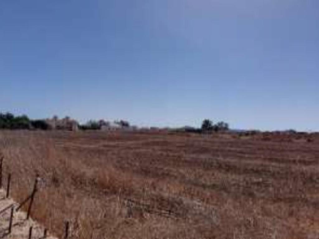 Field-Paralimni-PR44486