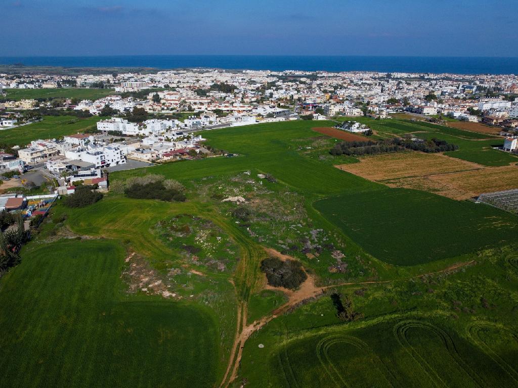 Field-Paralimni-PR44486