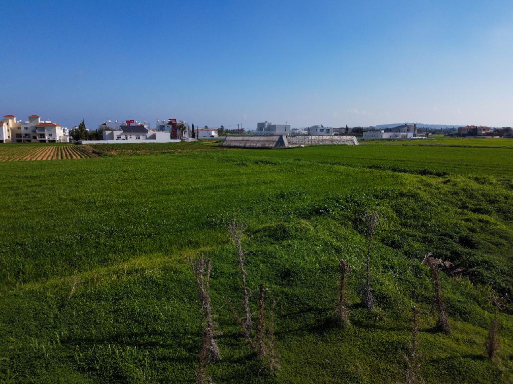 Field-Paralimni-PR44486