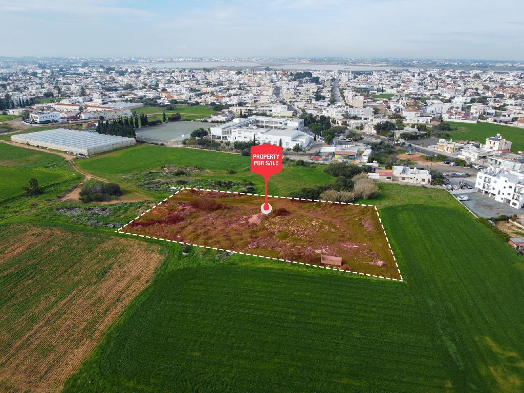 Field - Paralimni, Famagusta