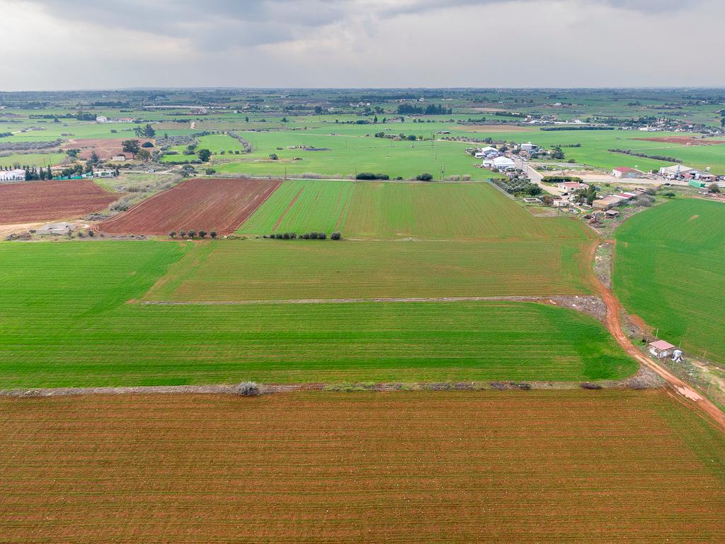 Field - Frenaros, Famagusta