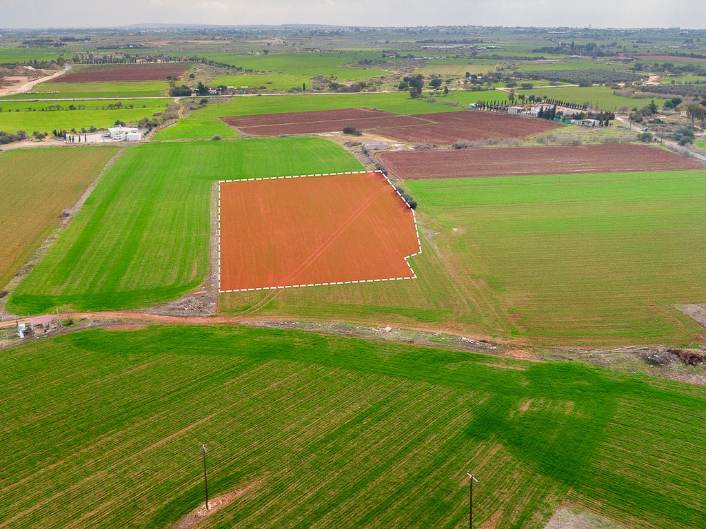 Field - Frenaros, Famagusta