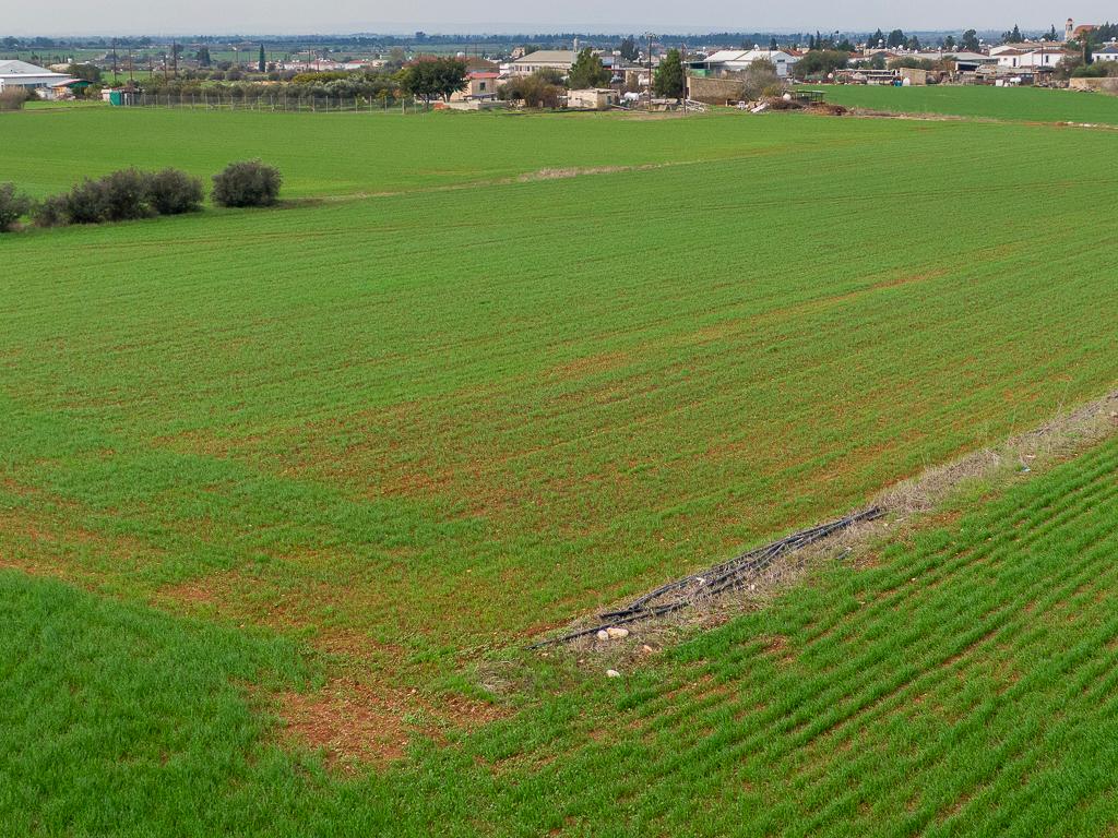 Field-Frenaros-PR44721