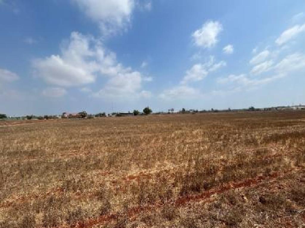 Field - Frenaros, Famagusta