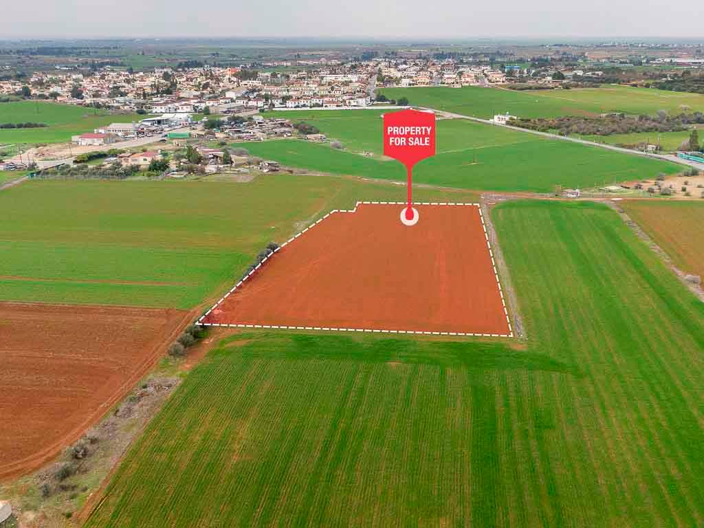 Field - Frenaros, Famagusta