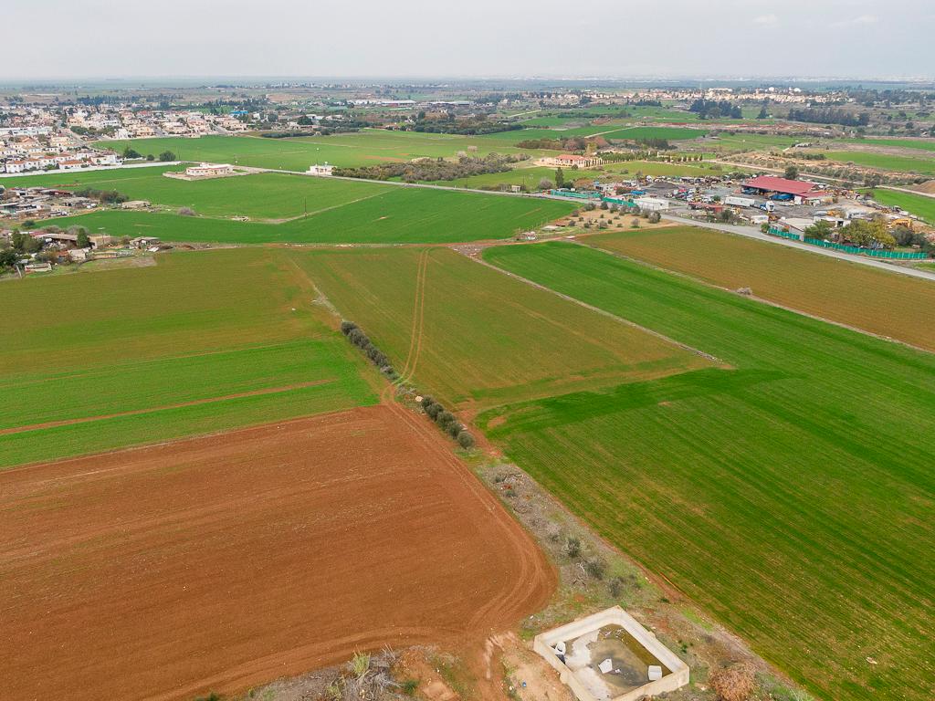 Field - Frenaros, Famagusta