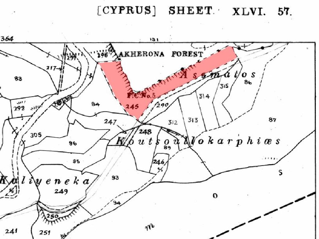 Field-Amargeti-PR12505
