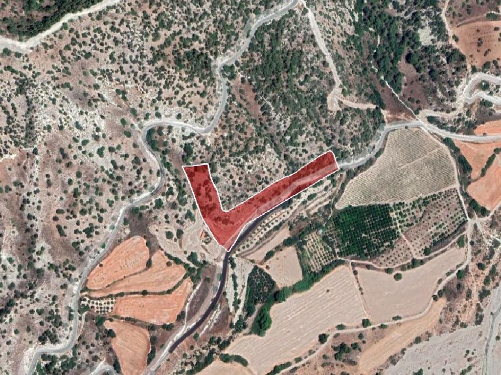 Field-Amargeti-PR12505