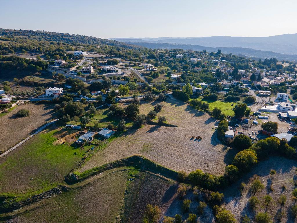 Field - Simou, Paphos