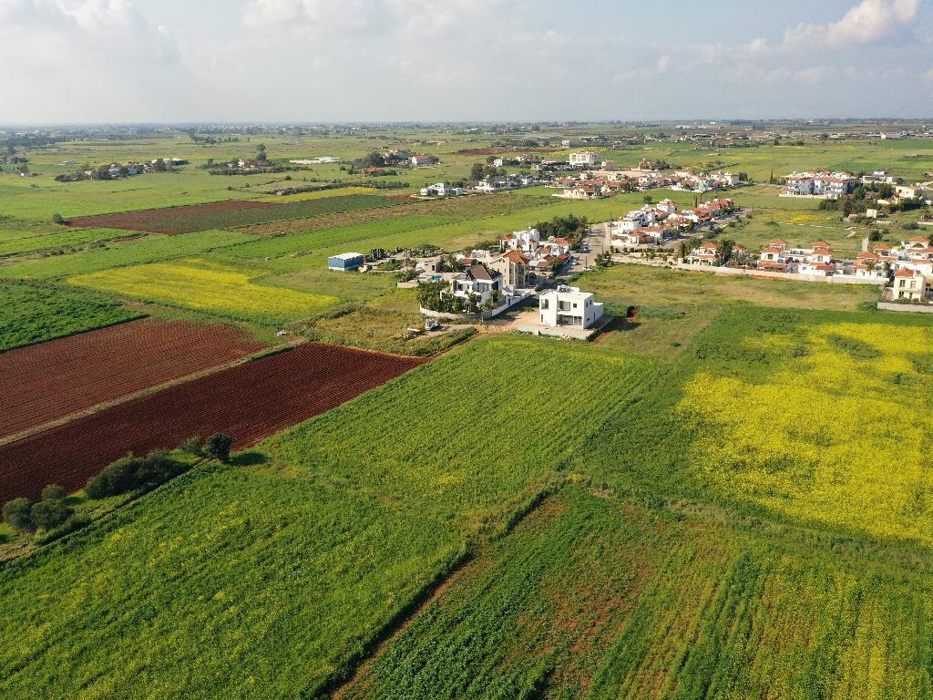 Field-Liopetri-PR12061