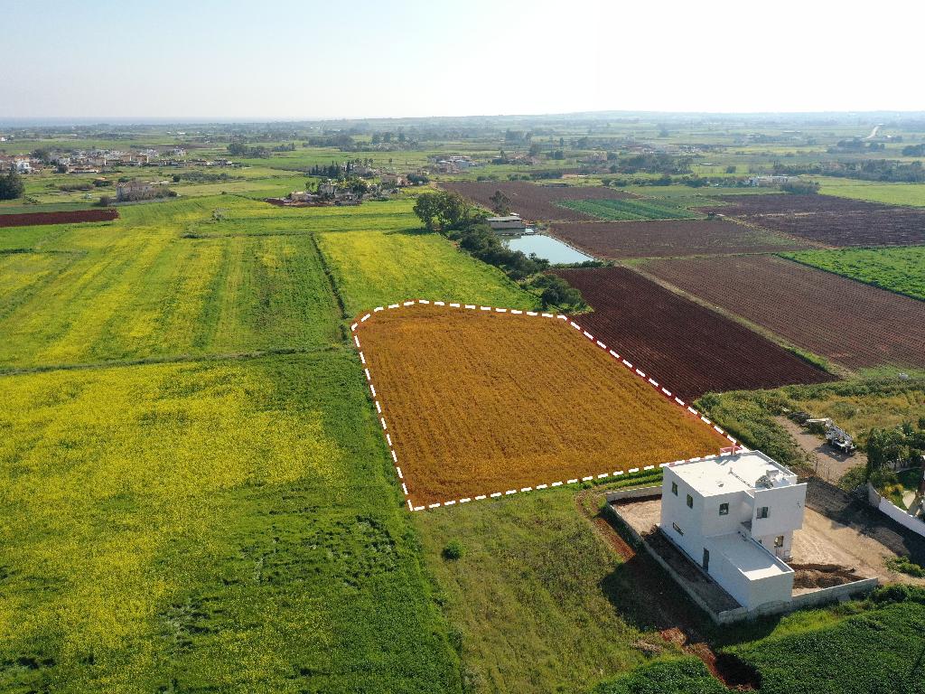 Field-Liopetri-PR12061