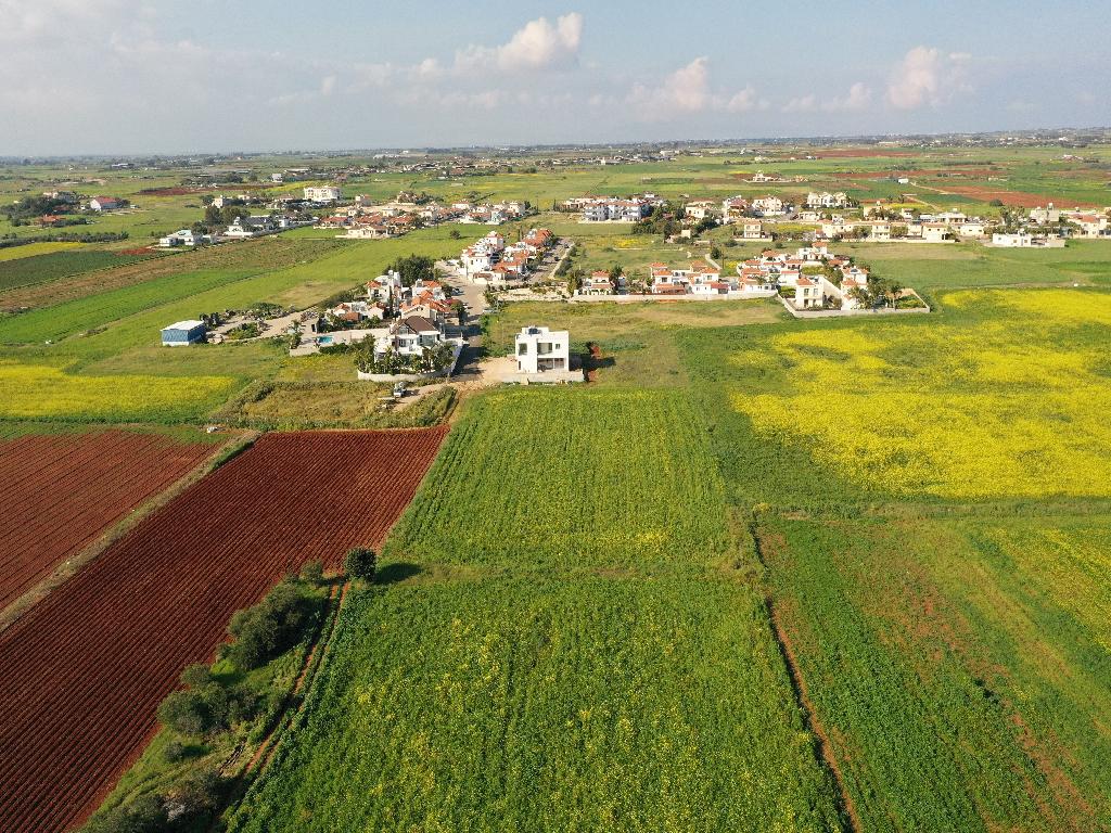 Field-Liopetri-PR12061