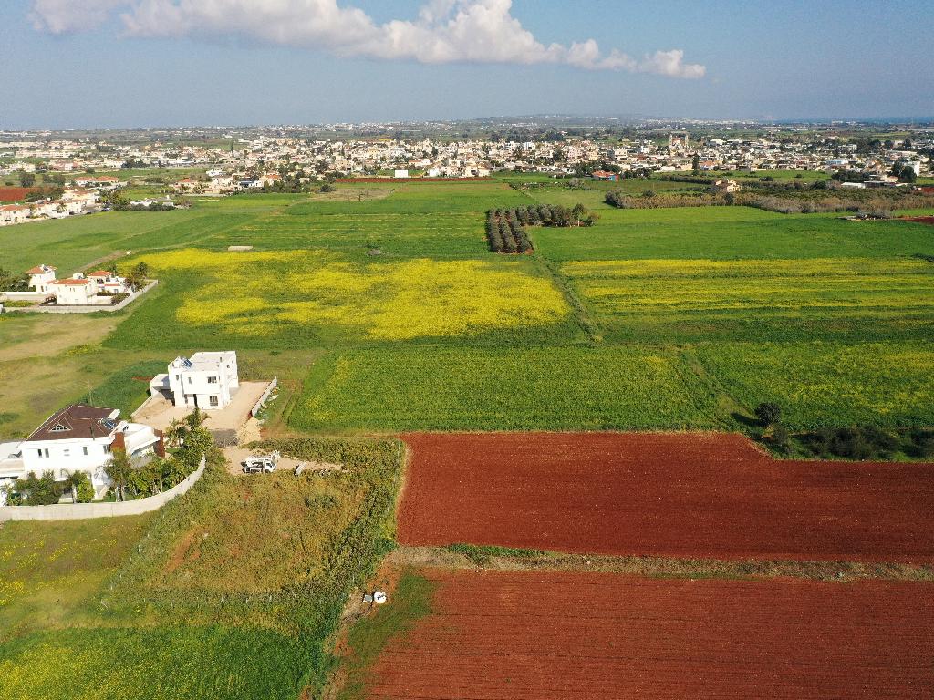 Field-Liopetri-PR12061