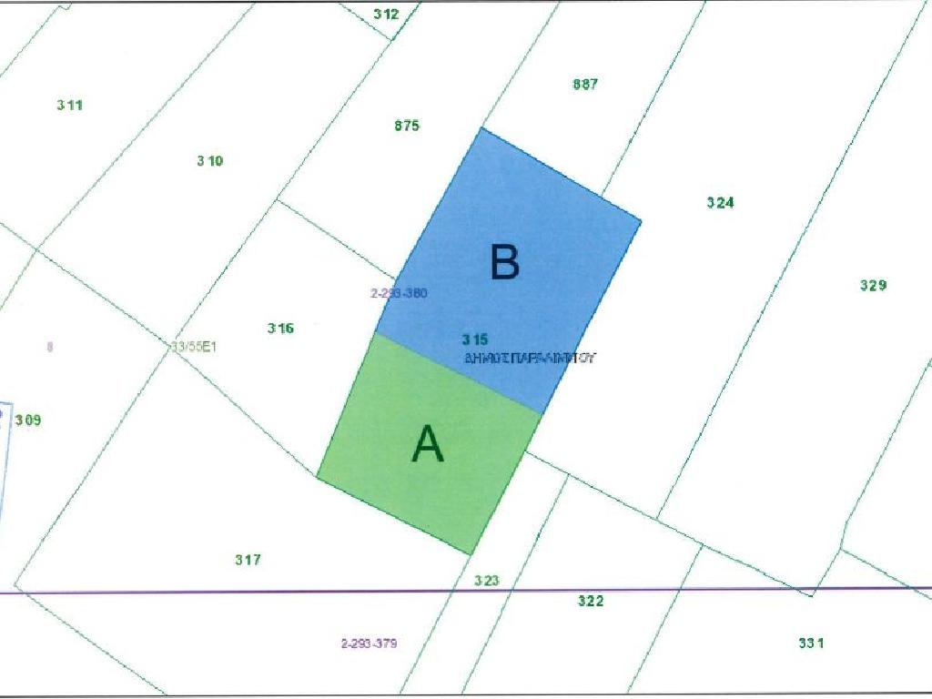 Field (share) - Paralimni, Famagusta