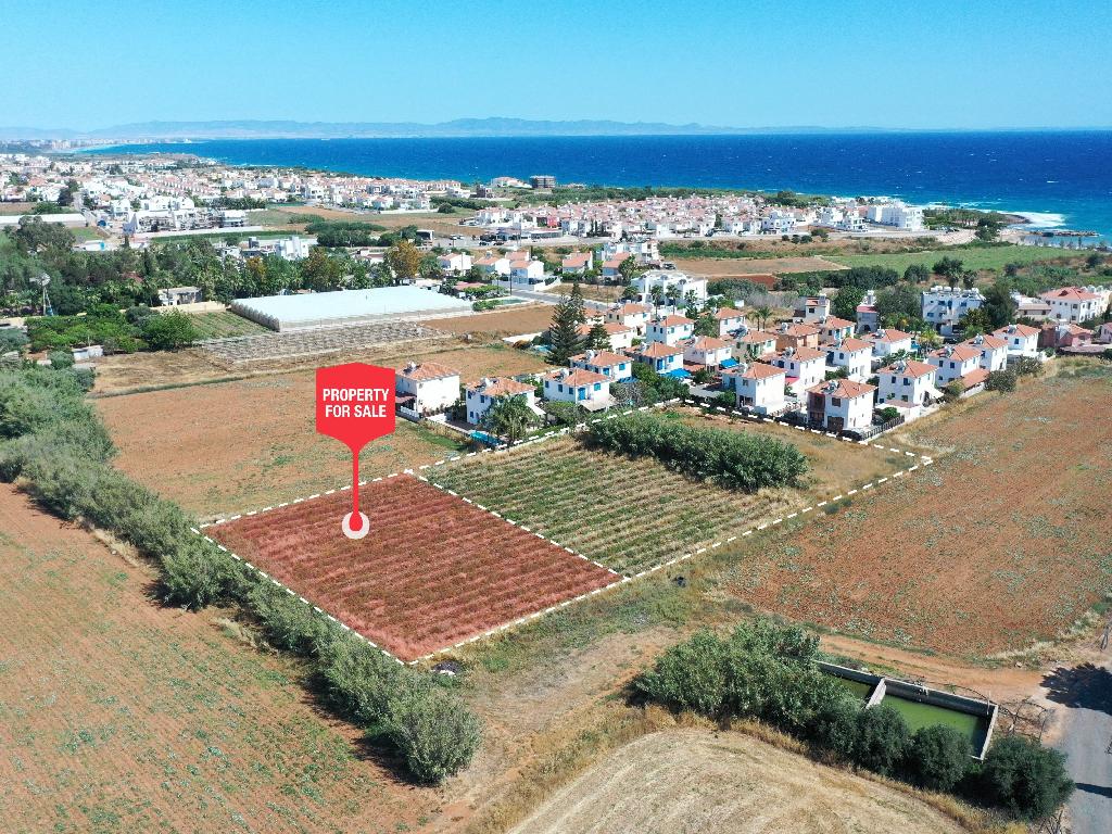 Field (share) - Paralimni, Famagusta