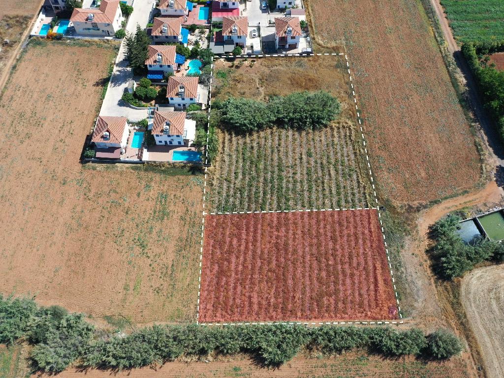 Field (share) - Paralimni, Famagusta