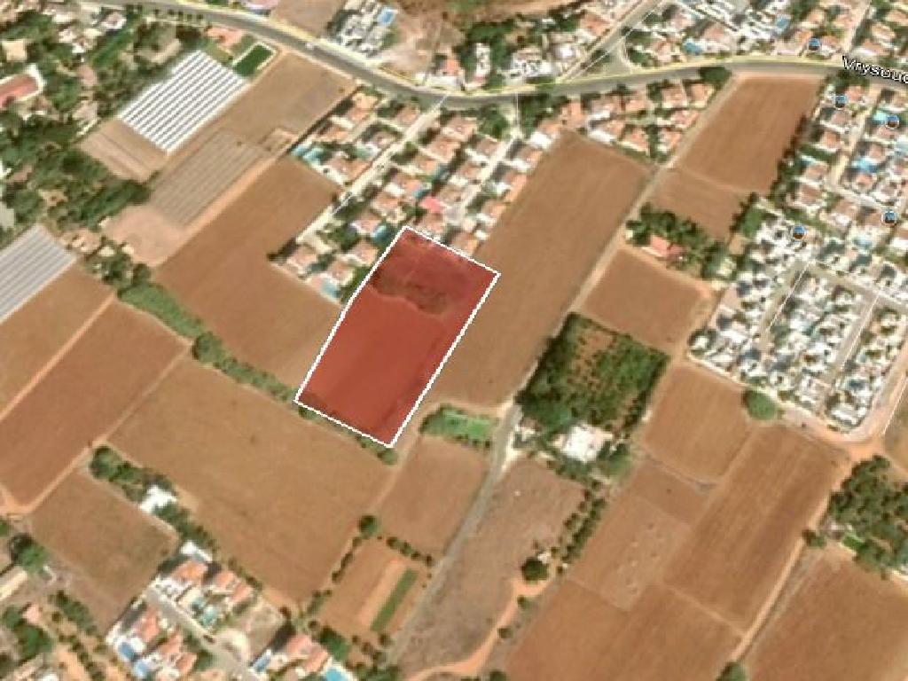 Field-Paralimni-PR32248