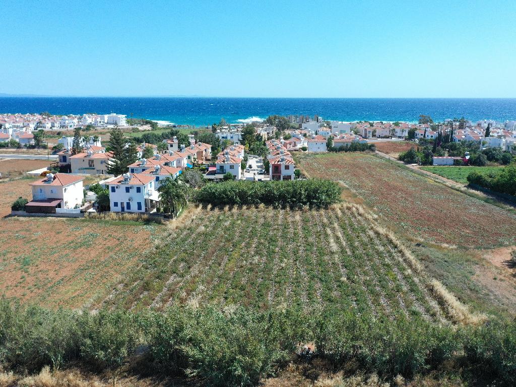 Field (share) - Paralimni, Famagusta