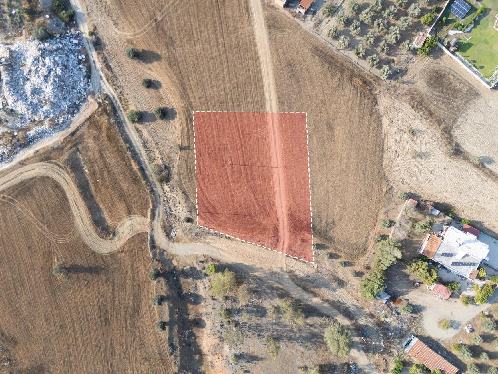 Field-Paleometocho-PR35646