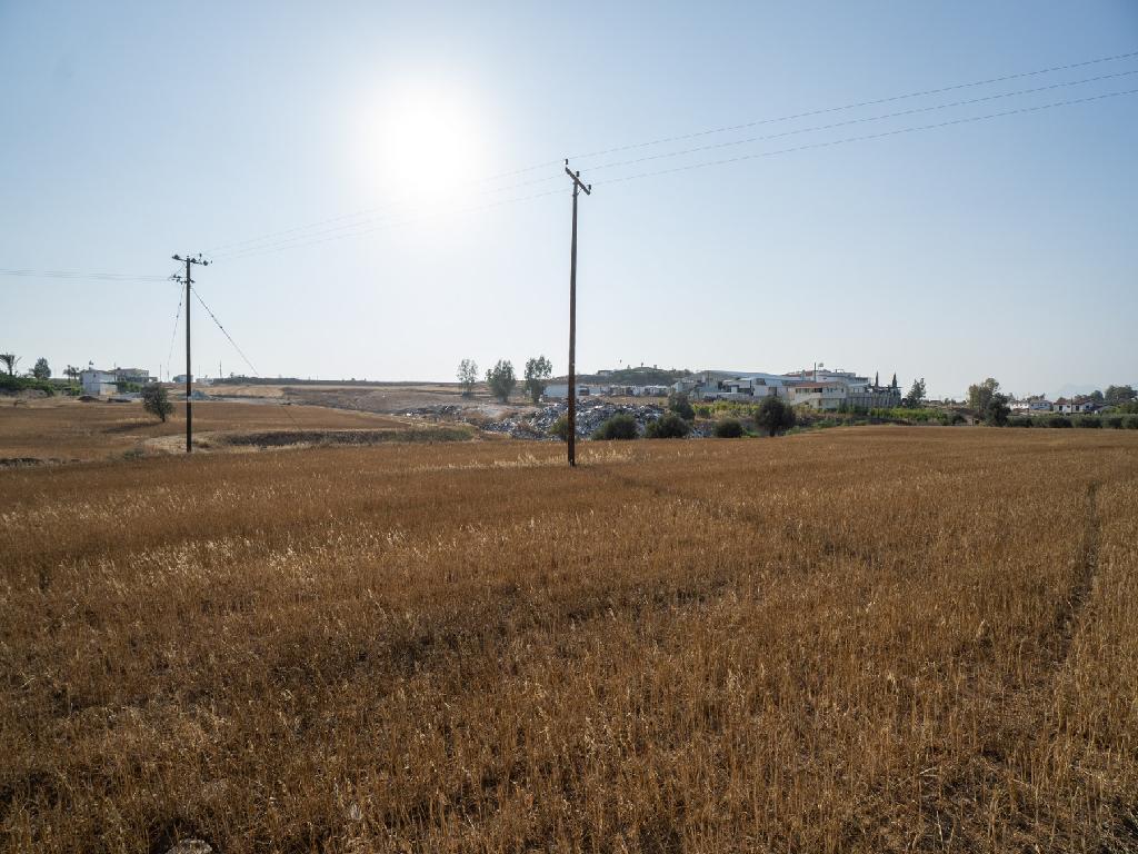 Field-Paleometocho-PR35646