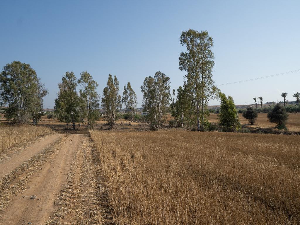 Field-Paleometocho-PR35646
