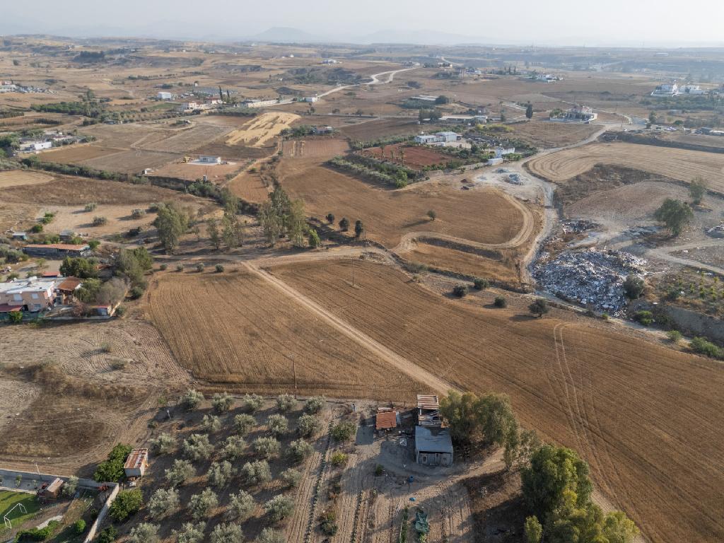 Field-Paleometocho-PR35646