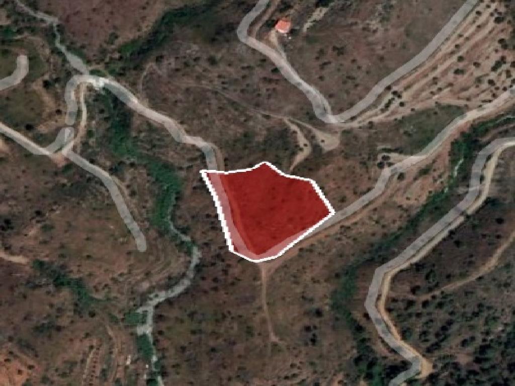 Field-Ora-PR36403