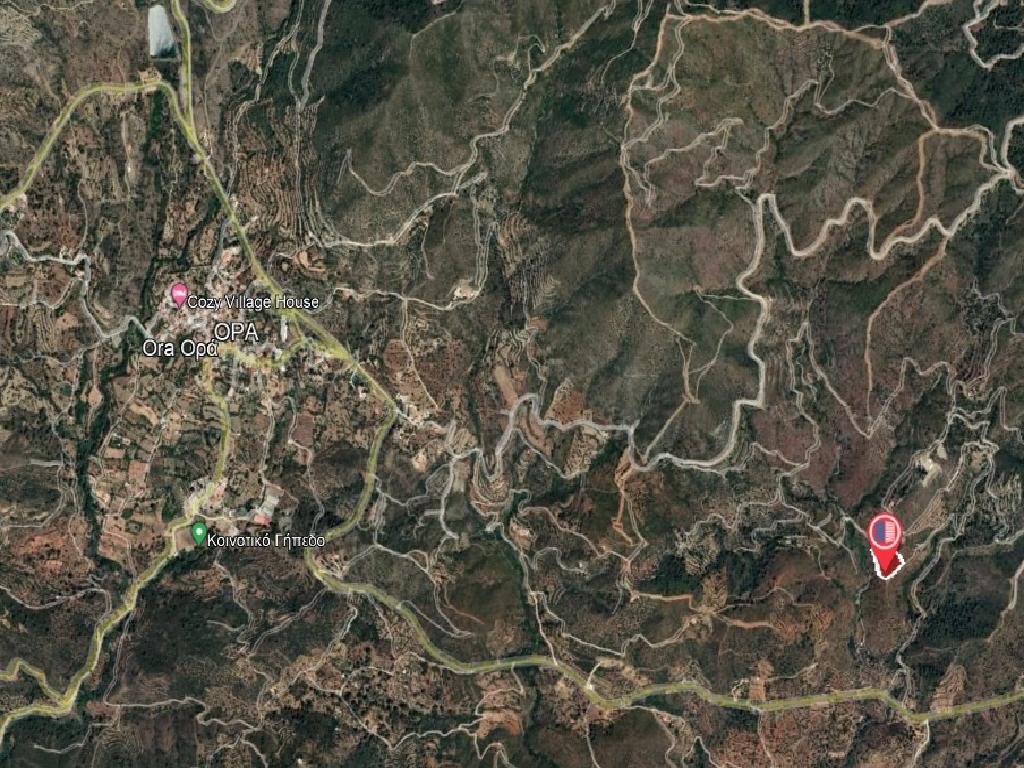 Field-Ora-PR36403