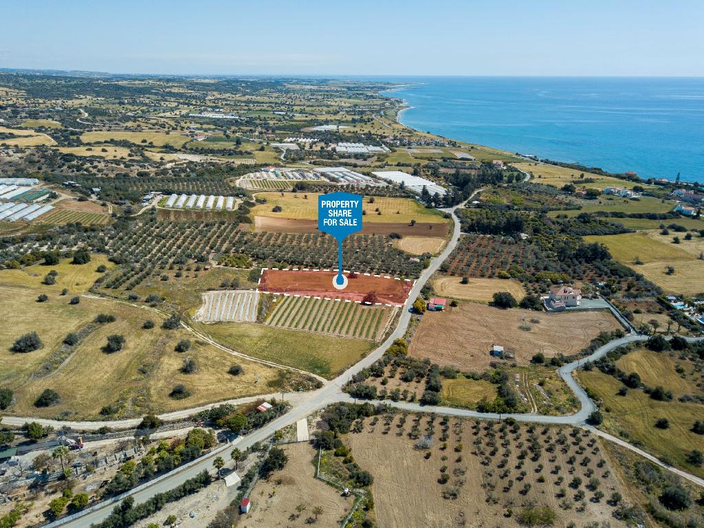 Field (Share) - Agios Theodoros, Larnaca