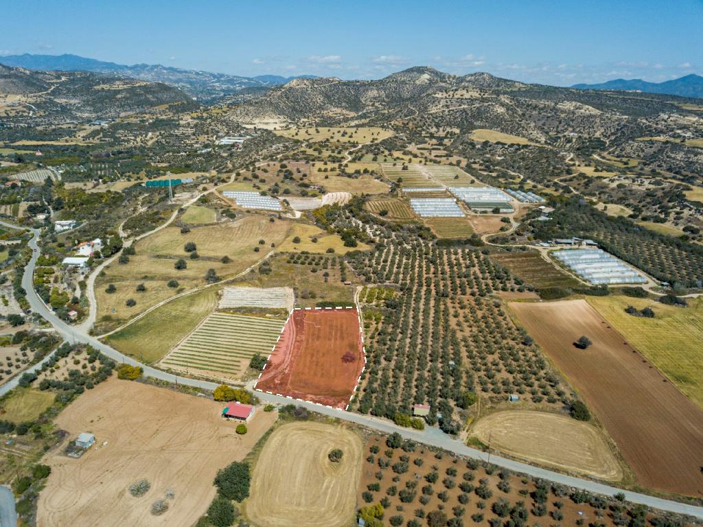 Field (Share) - Agios Theodoros, Larnaca