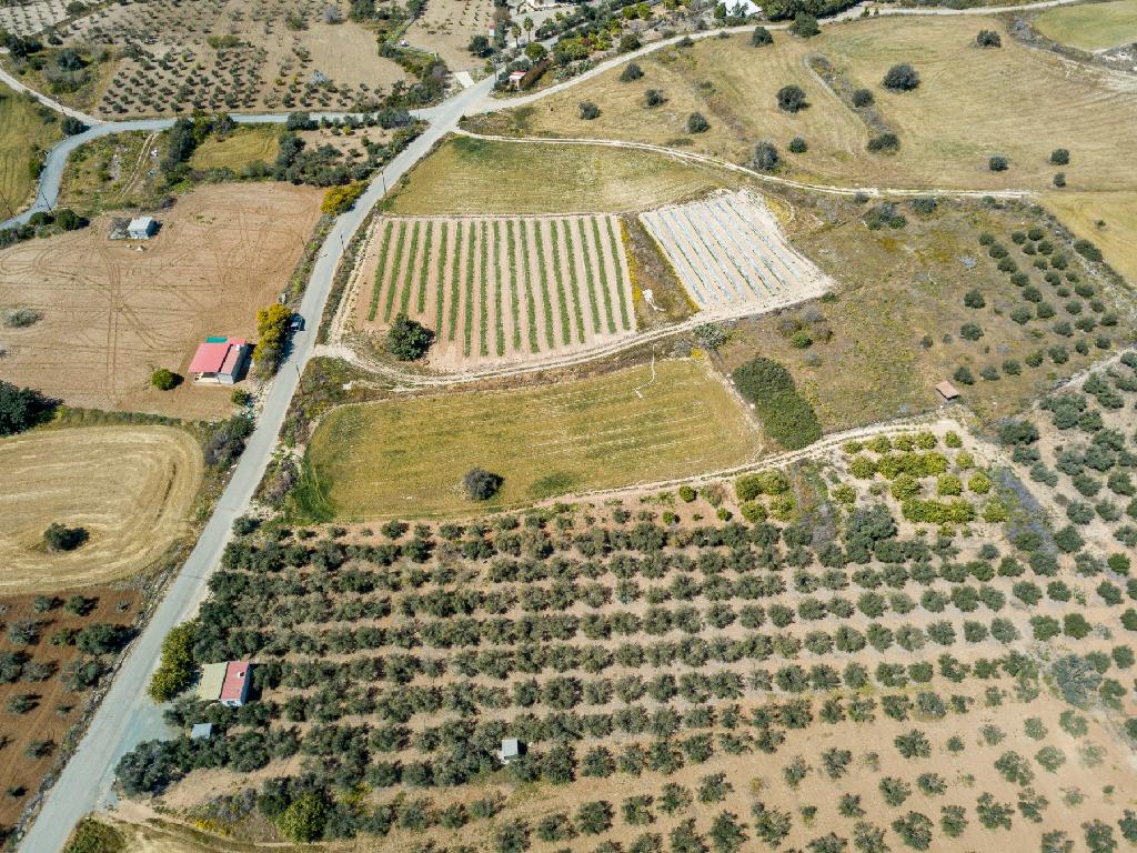 Field (Share) - Agios Theodoros, Larnaca