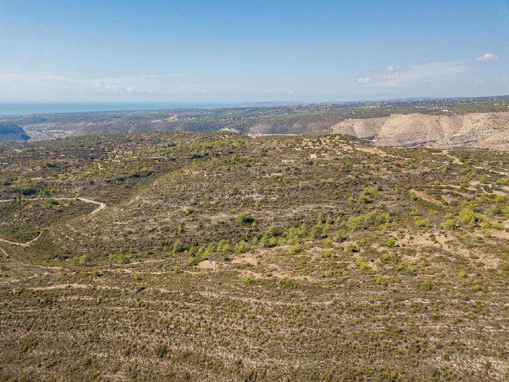Field-Ypsonas-PR38205