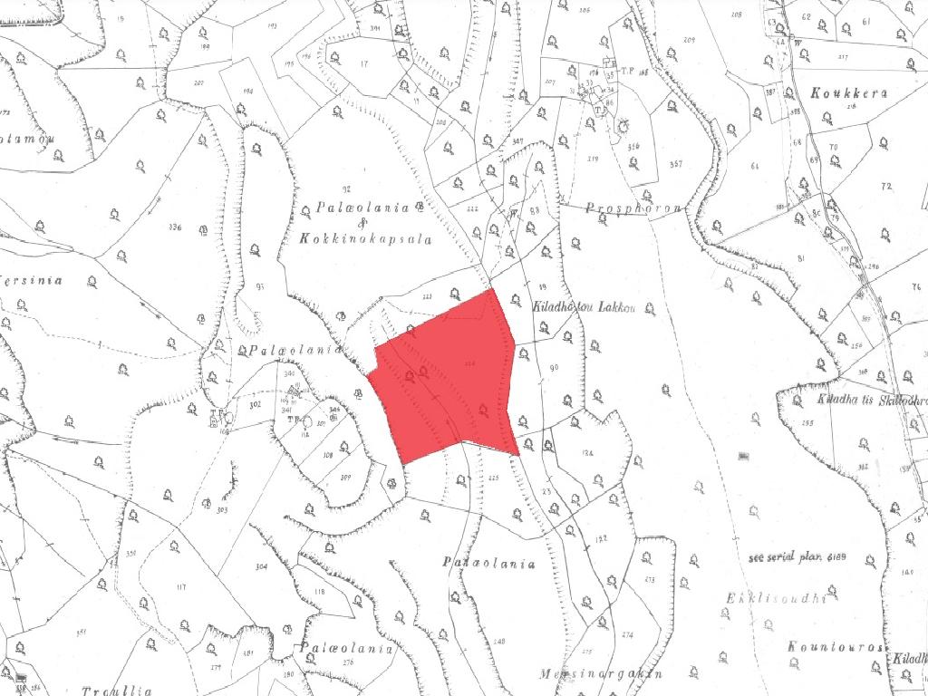 Field-Ypsonas-PR38205