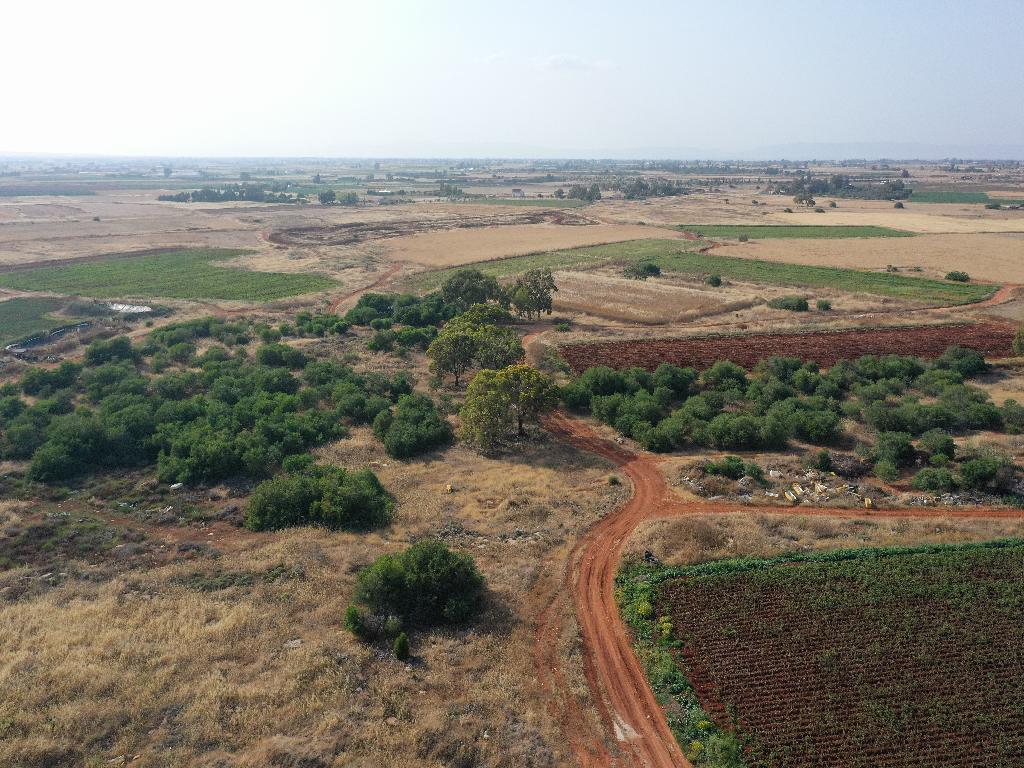 Field - Liopetri, Famagusta