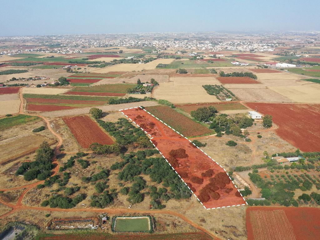 Field - Liopetri, Famagusta