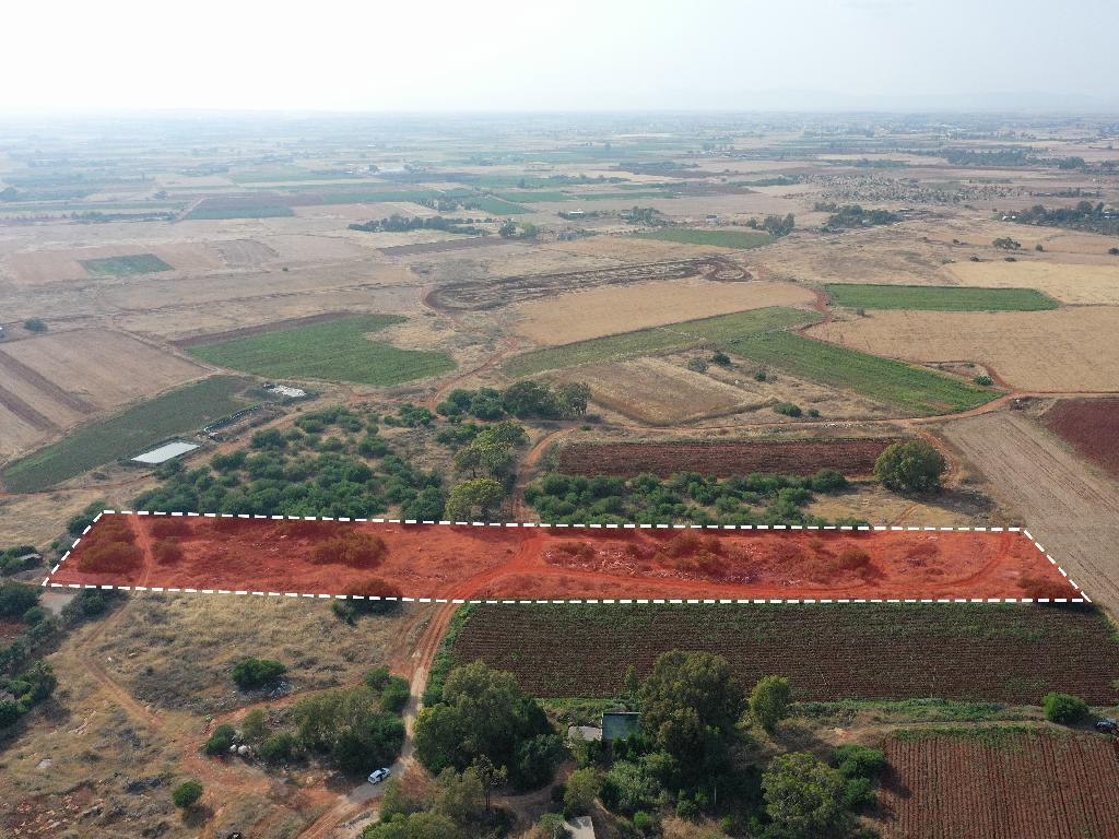 Field - Liopetri, Famagusta