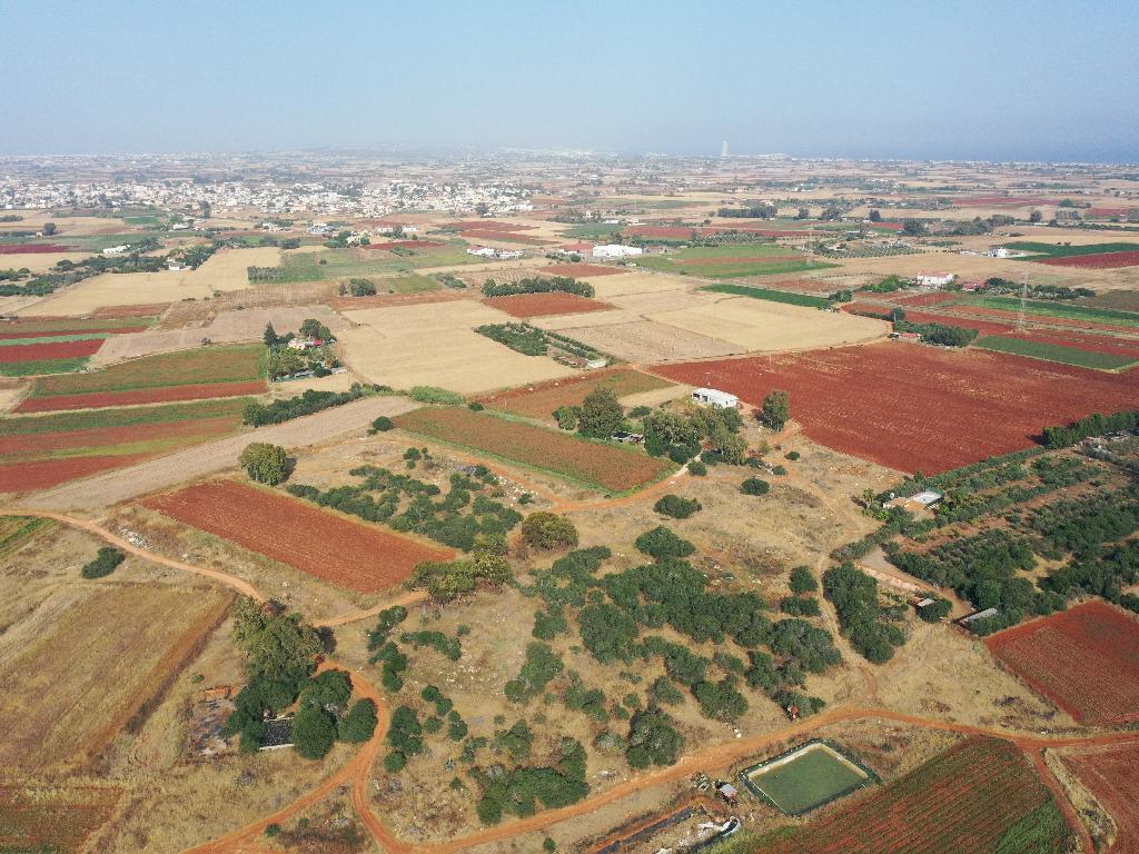 Field - Liopetri, Famagusta