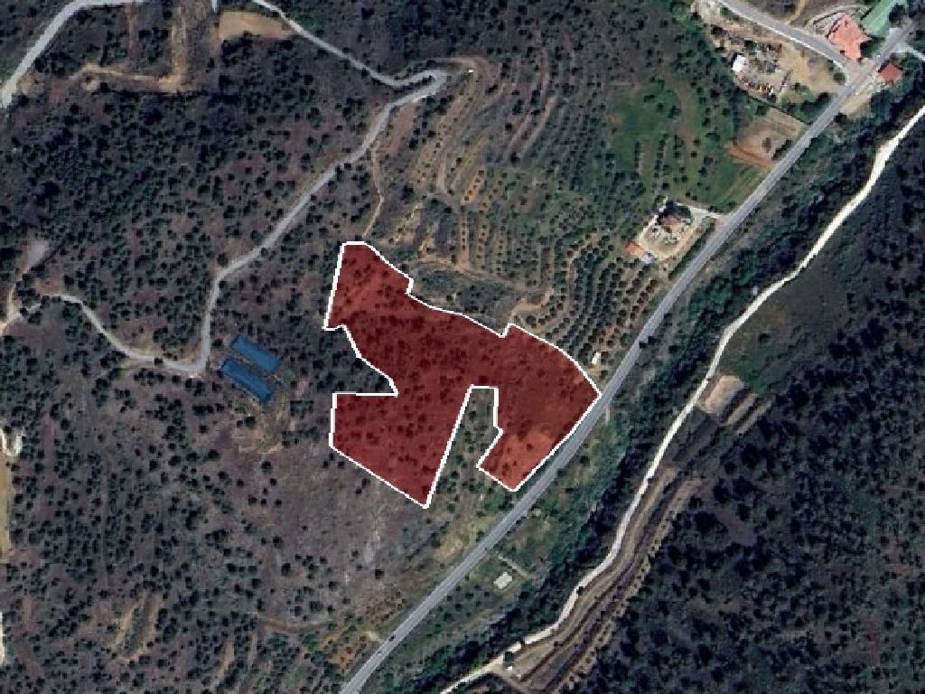 Field-Agios Epifanios (Oreinis)-PR40439