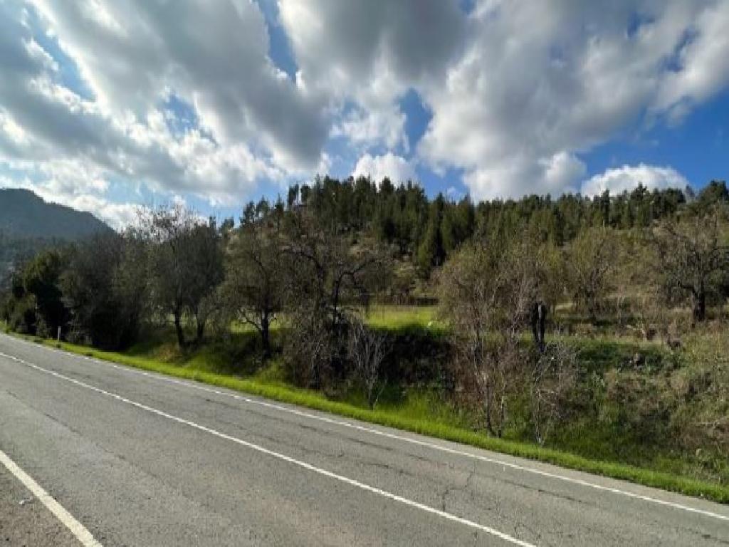 Field-Agios Epifanios (Oreinis)-PR40439