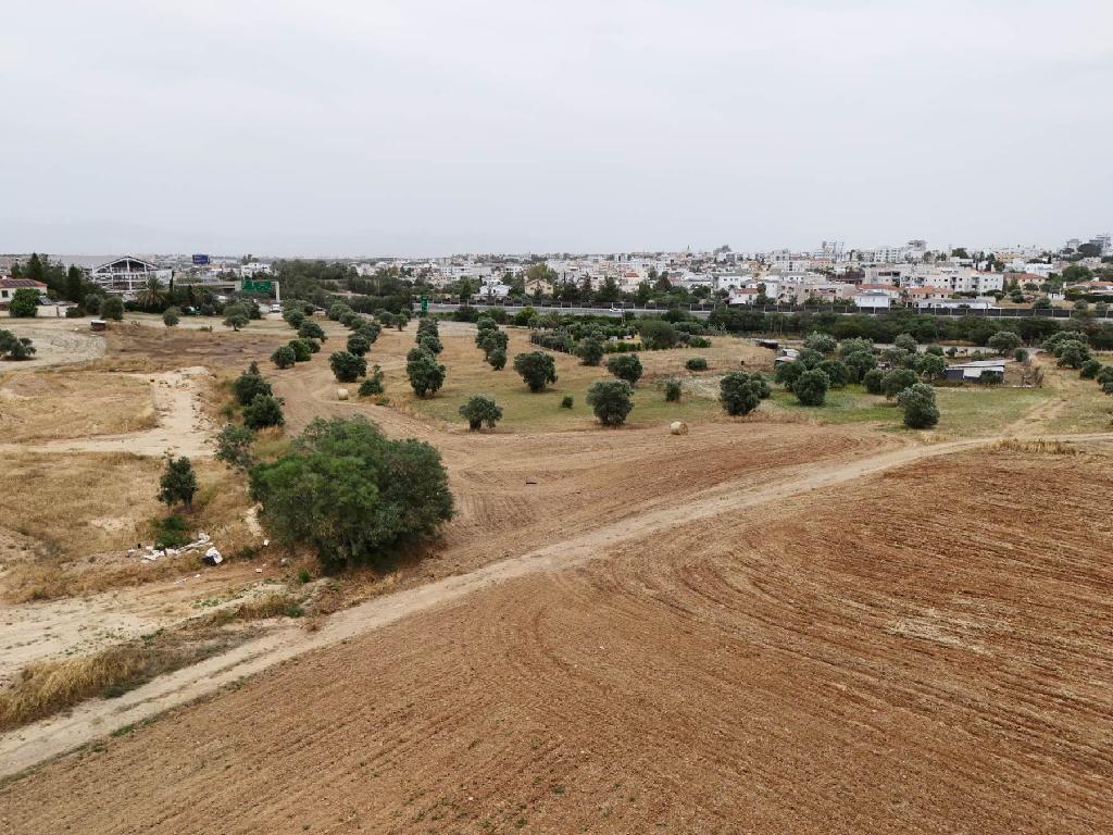 Field-Latsia-CP10011