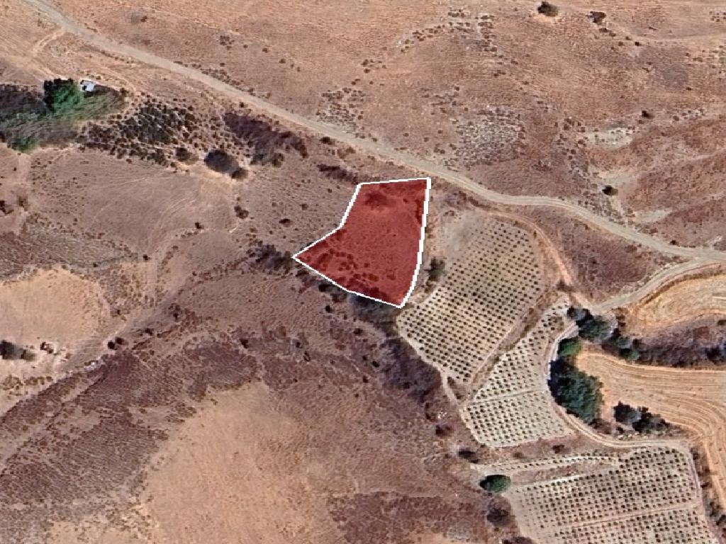Field-Agios Dimitrianos-PR41182