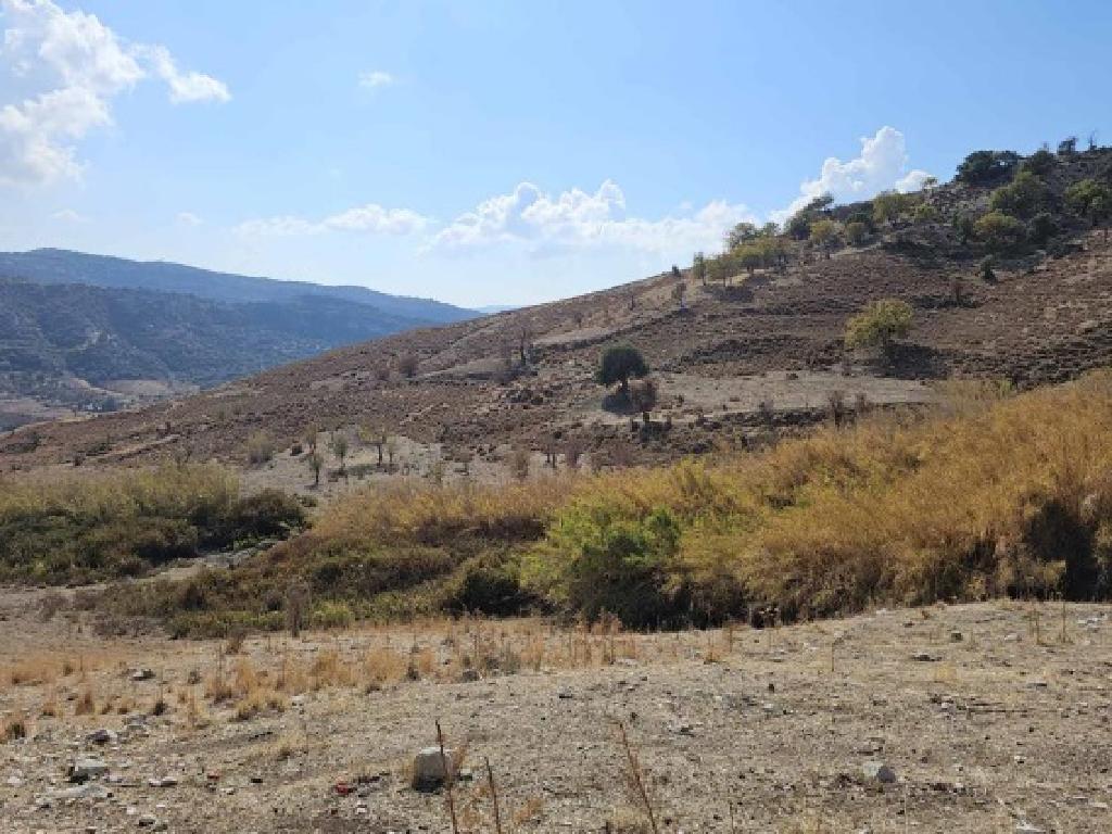 Field-Agios Dimitrianos-PR41182
