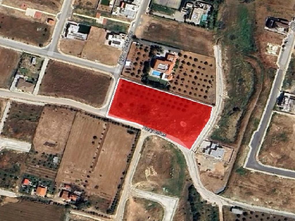 Field-Pano Deftera-PR42354