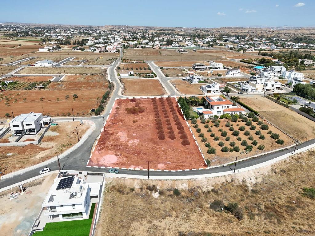 Field – Pano Deftera, Nicosia